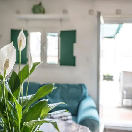 Casetta Raperonzolo Acquario - Centro Storico Daire *