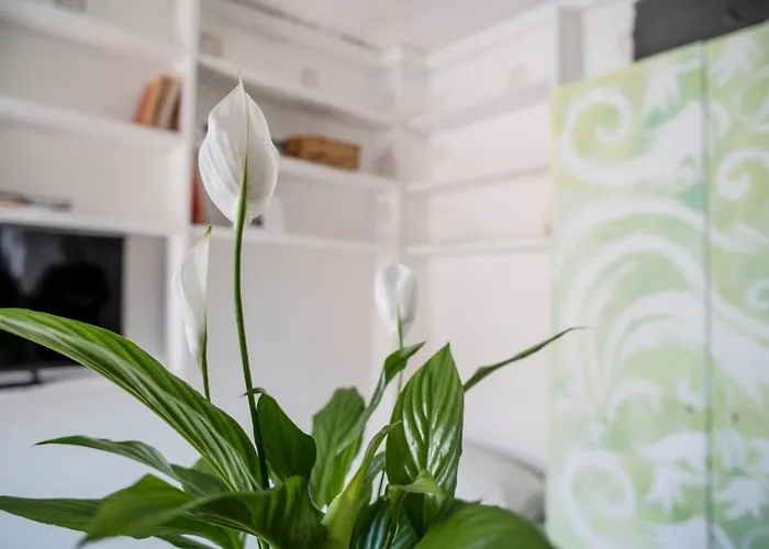 Lejlighed Casetta Raperonzolo Acquario - Centro Storico