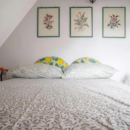 Casetta Raperonzolo Acquario - Centro Storico