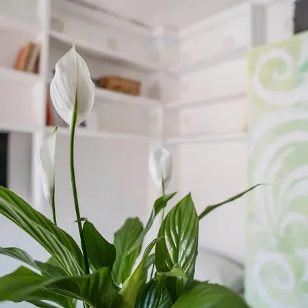 Διαμέρισμα Casetta Raperonzolo Acquario - Centro Storico